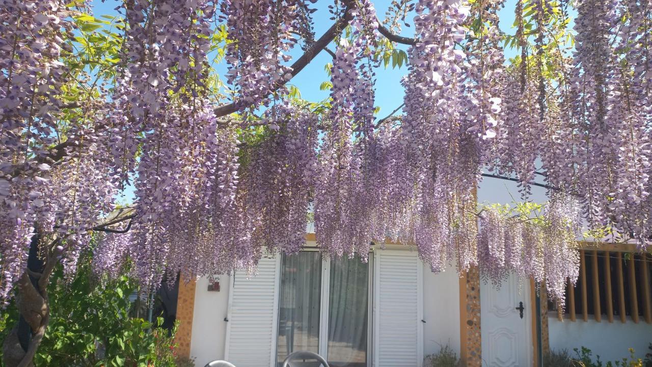 Casa Dos Gansos Villa Perais Bagian luar foto