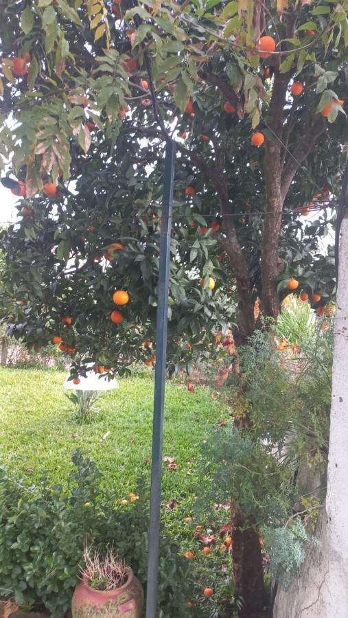 Casa Dos Gansos Villa Perais Bagian luar foto